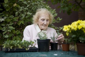 Older woman gardening at a Friends of the Elderly residential care home