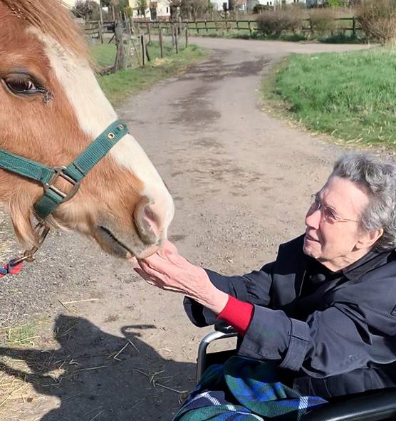 Resident from our Essex care home meeting a horse