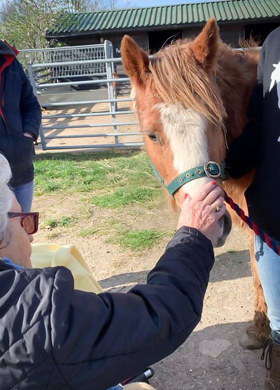 Resident from our Essex care home meeting a horse
