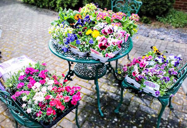 Flowers that were delivered to the care home during the pandemic