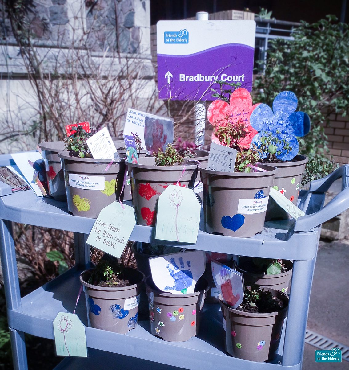 The plants donated to our Malvern care home