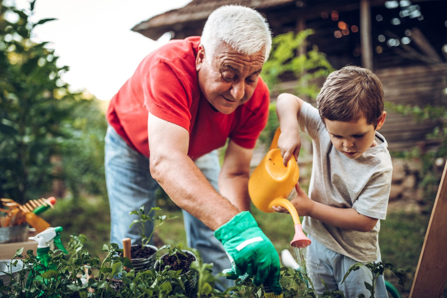 Grandfather and grandson in garden