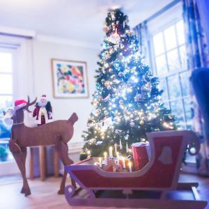 Christmas at Redcot care home, Surrey