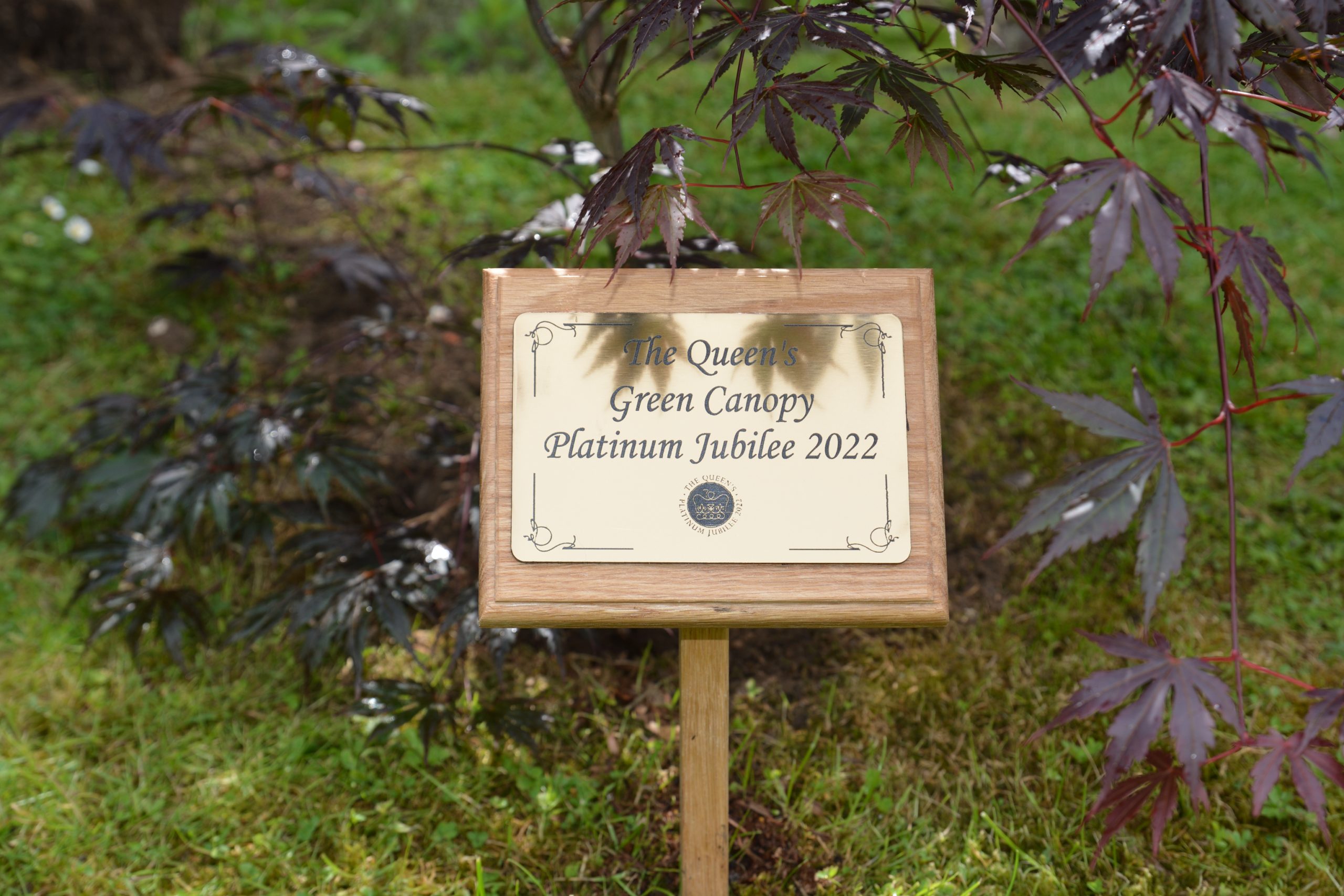 The Tree Planting Ceremony plaque at New Copford Place care home