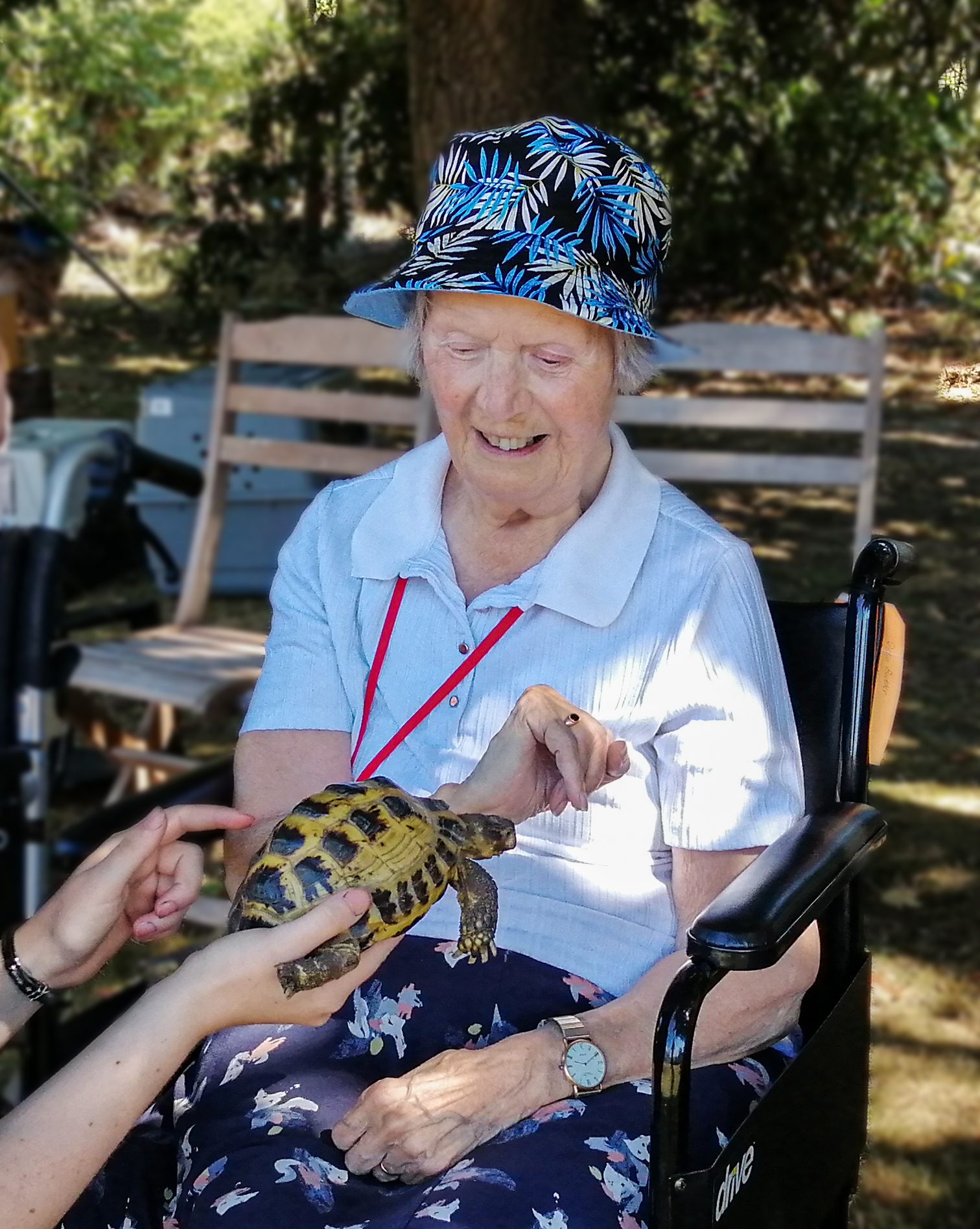 RNNH Resident being shown a tortoise 