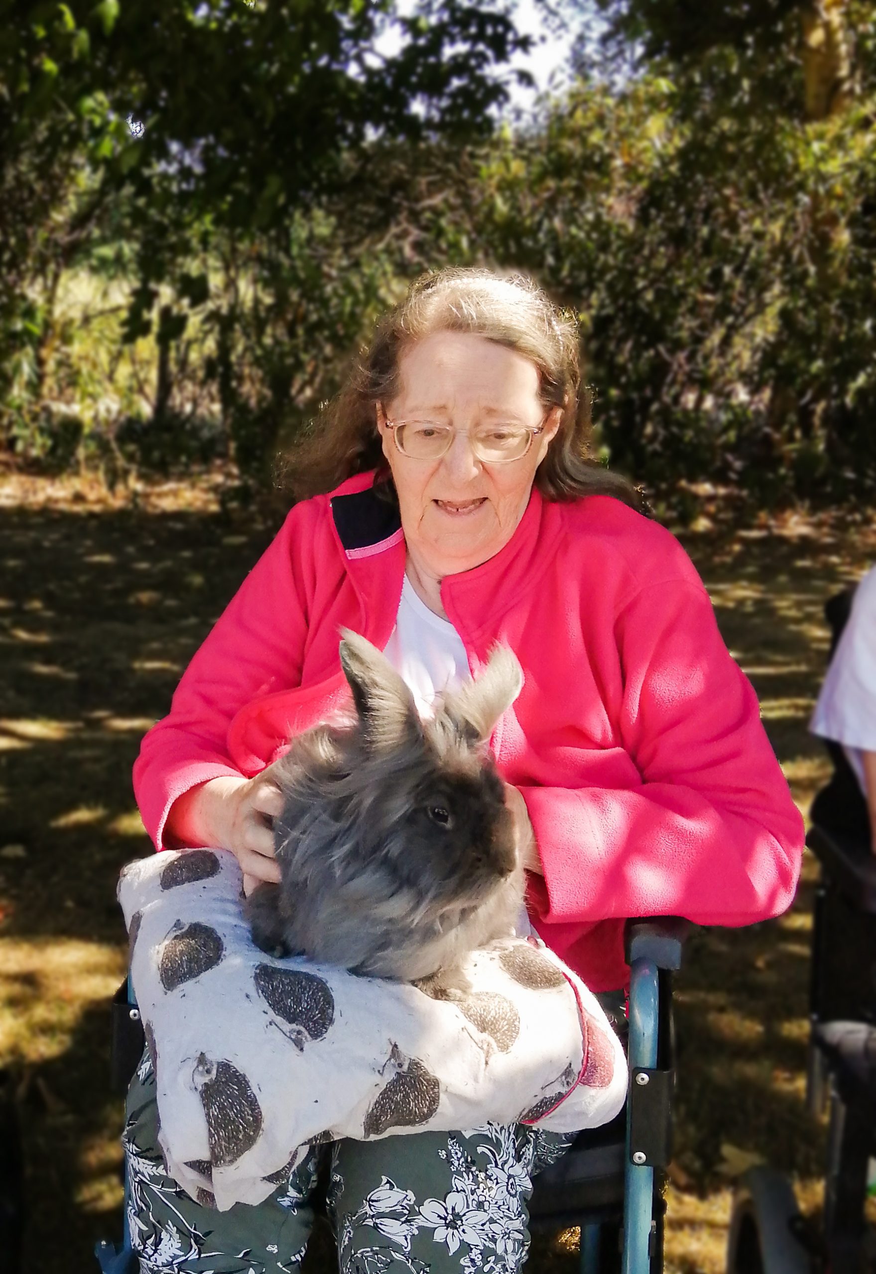 RNNH Resident being shown a rabbit