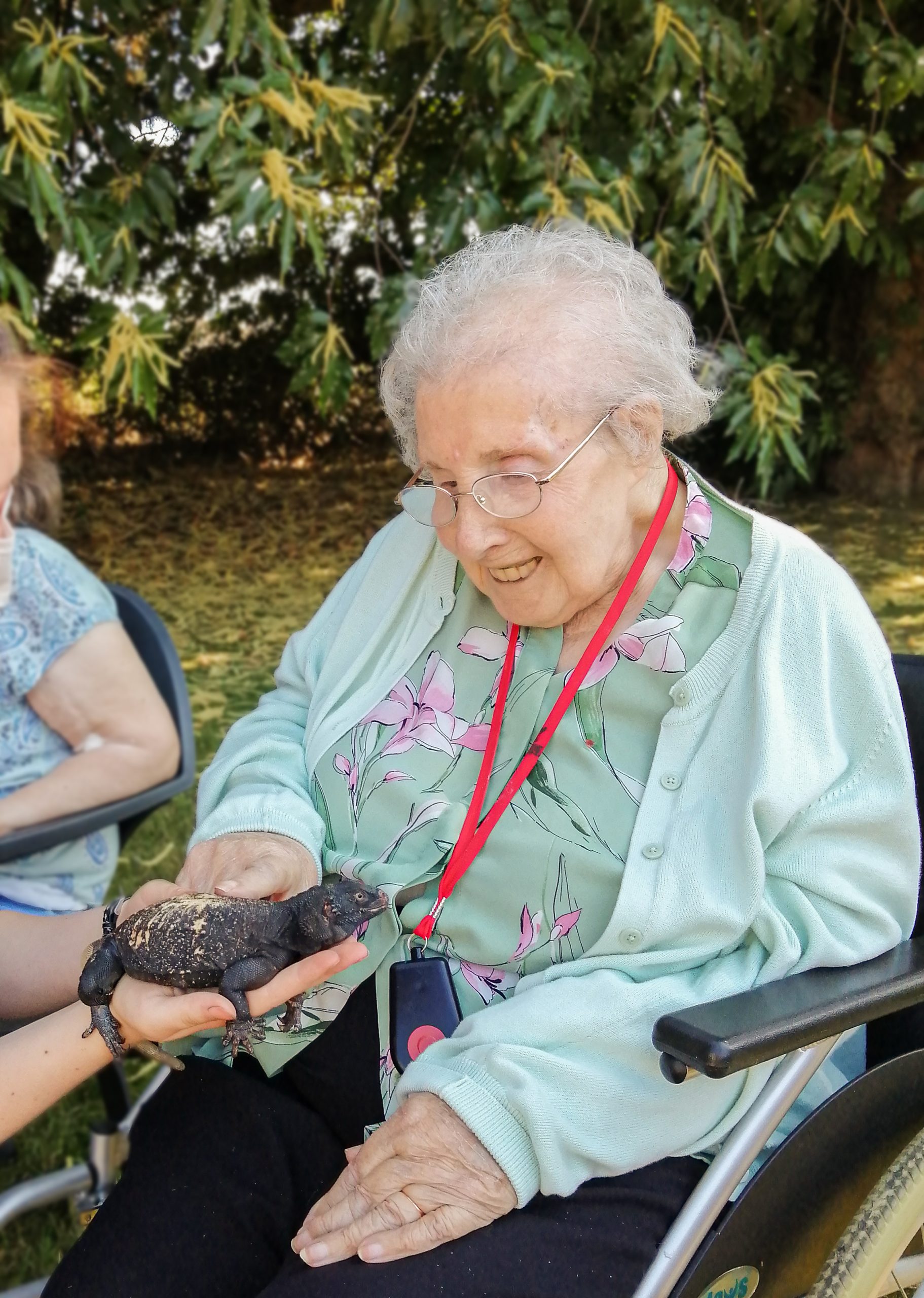 RNNH Resident being shown a lizard