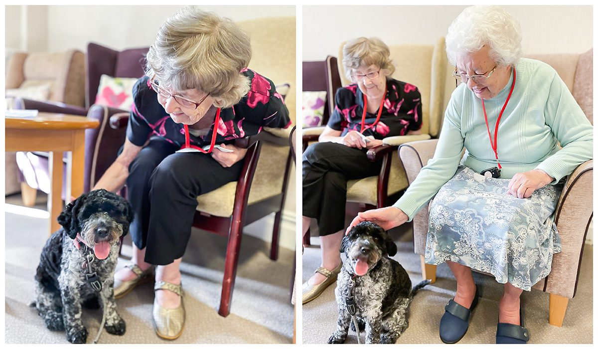 November highlights: Winnie visiting residents at Little Bramingham Farm