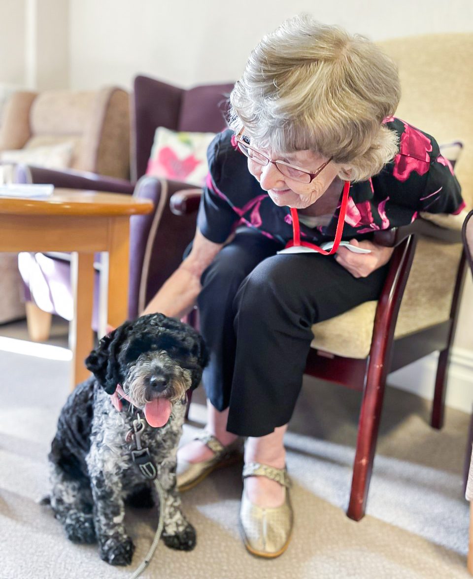 Little Bramingham Farm care home resident stroking Winnie