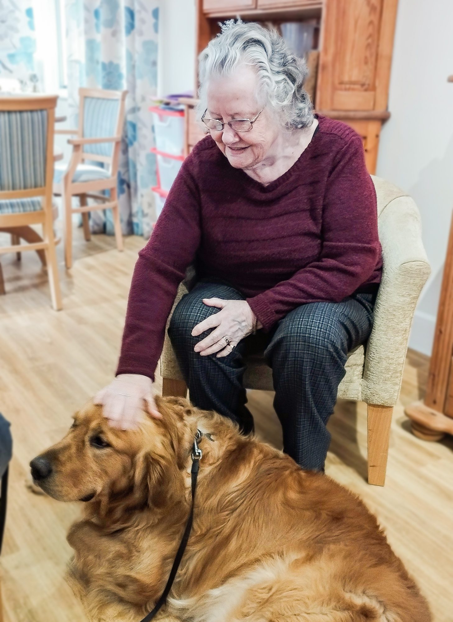 Monty the dog with a Malvern Day Care client