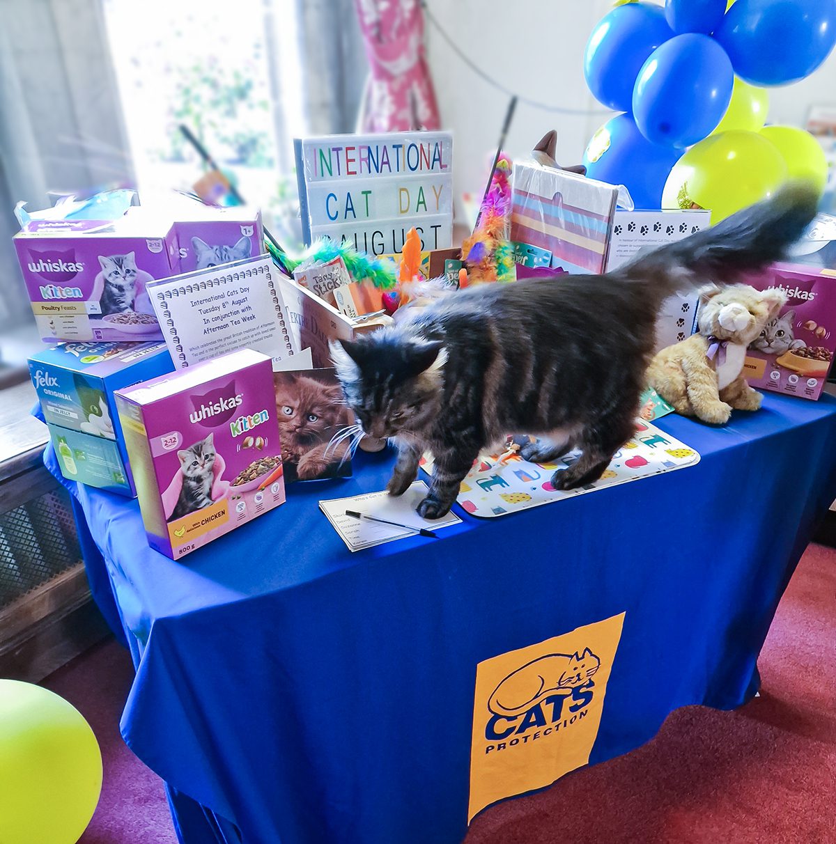 Cats Protection display of the items donated by Friends of the Elderly Malvern