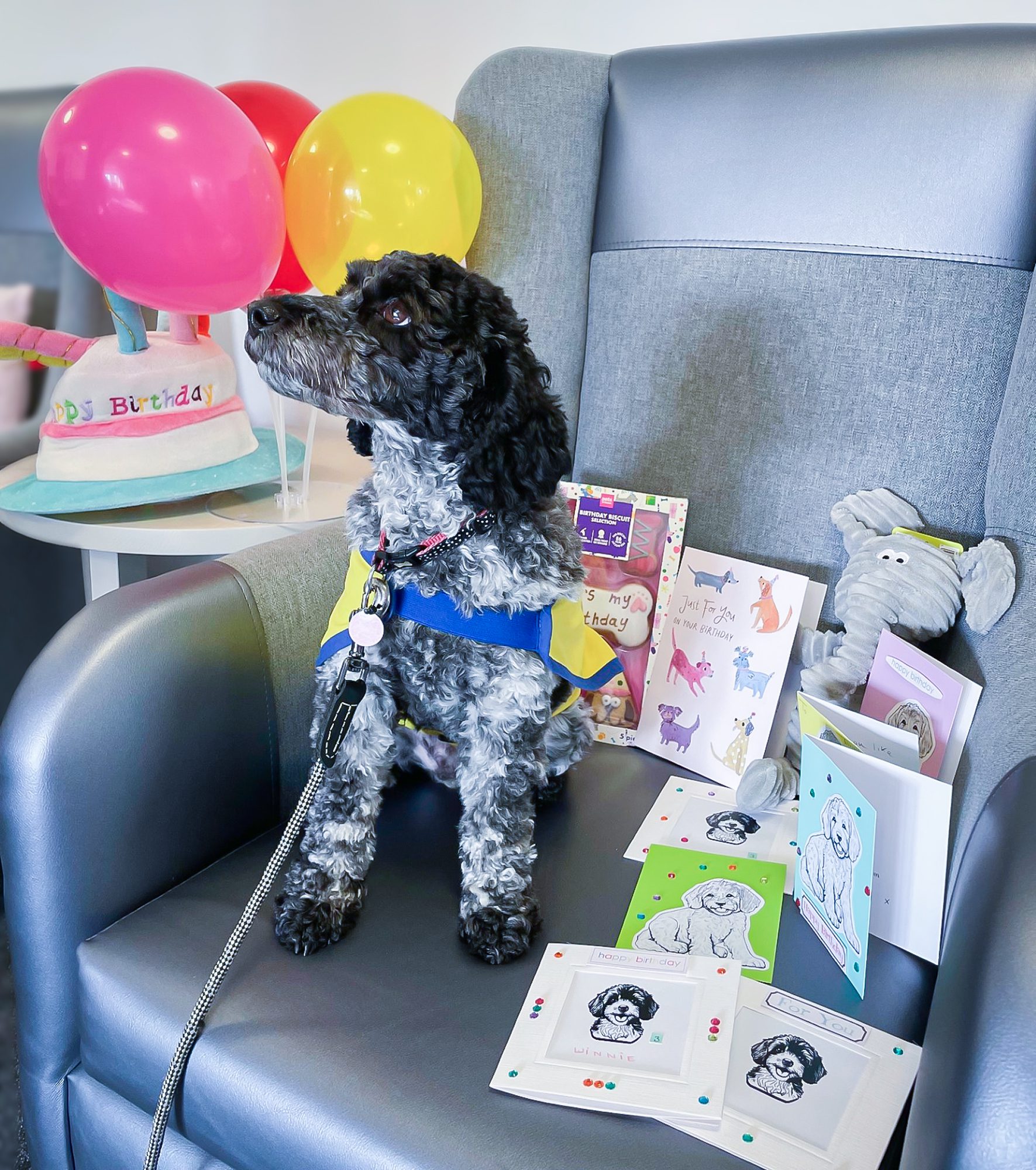 Winnie on her birthday surrounded by cards and presents. 