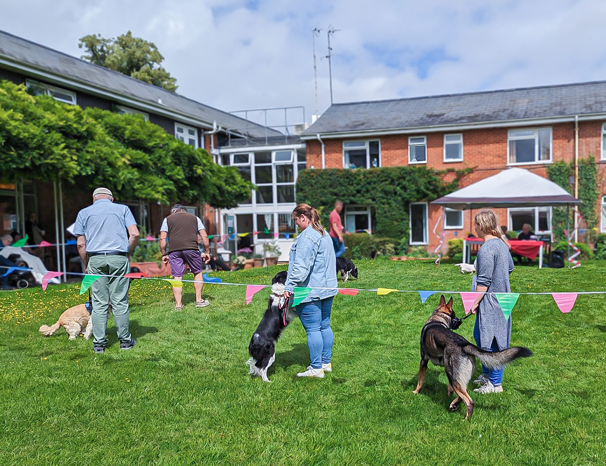 Dogs at the Scruffies 2023