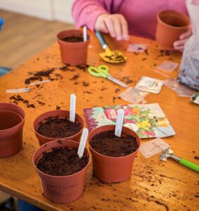 Pots filled with soil at the Gardening Club. 